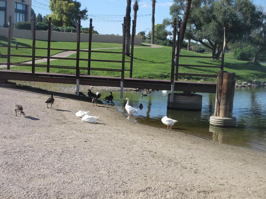 Mccormick Ranch Golf Villa Scottsdale Luaran gambar